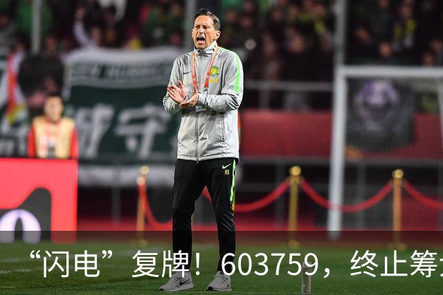 “闪电”复牌！603759，终止筹划重大事项
